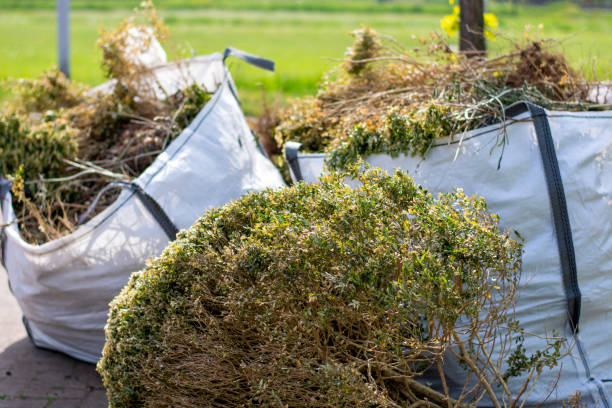 Shed Removal in Dudley, NC